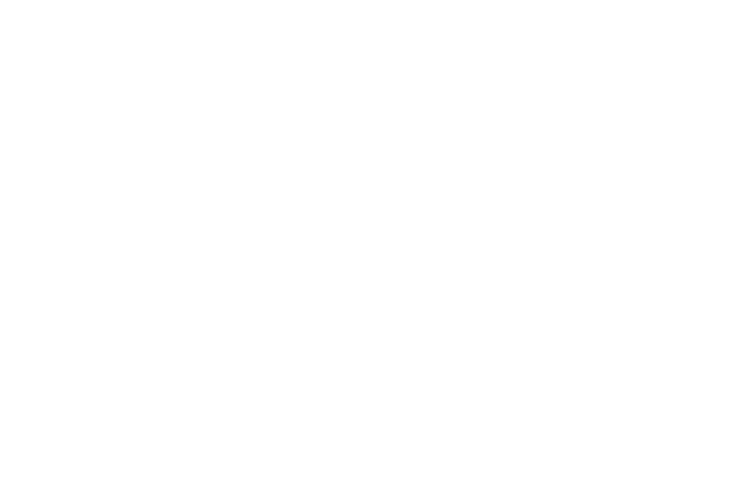 Persistent Transport